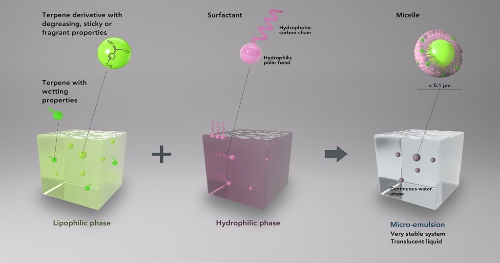 3D illustration of a microemulsion